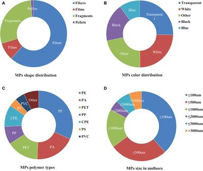 Microplastics in Mollusks: Research Progress, Current Contamination Status, Analysis Approaches, and Future Perspectives